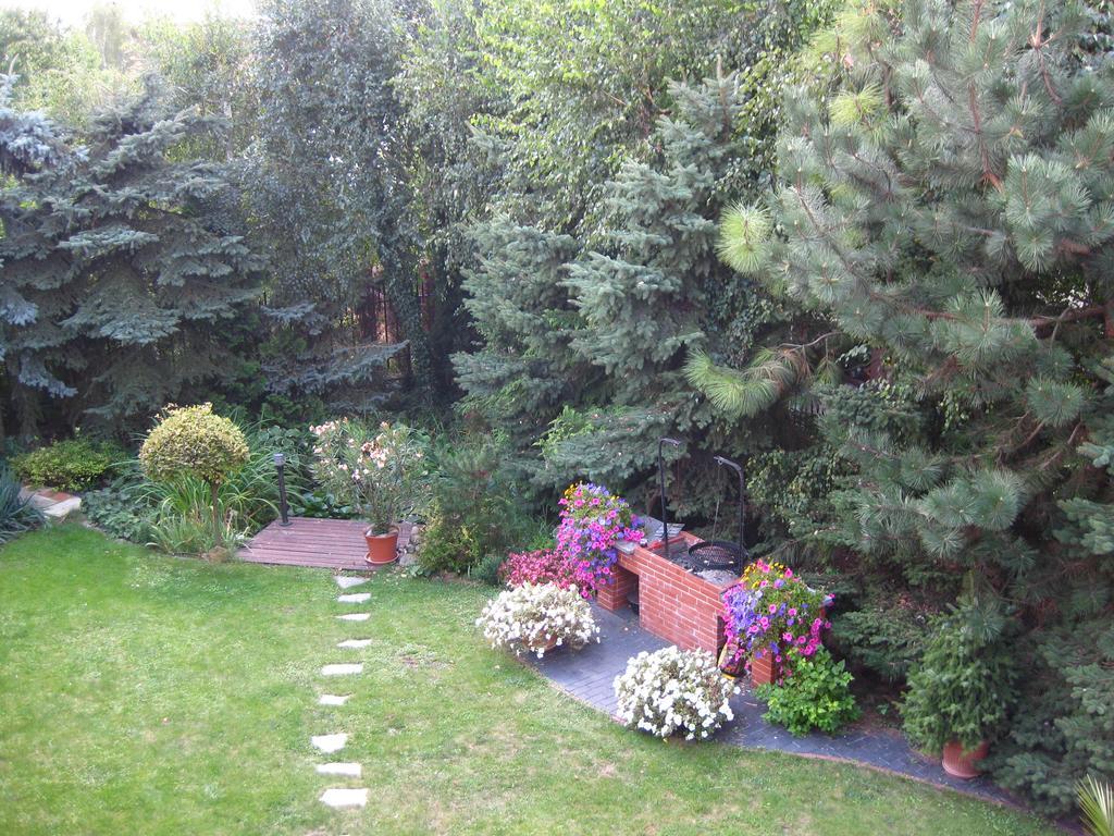 Pokoje Goscinne Pod Palmami Буско-Здрой Екстериор снимка